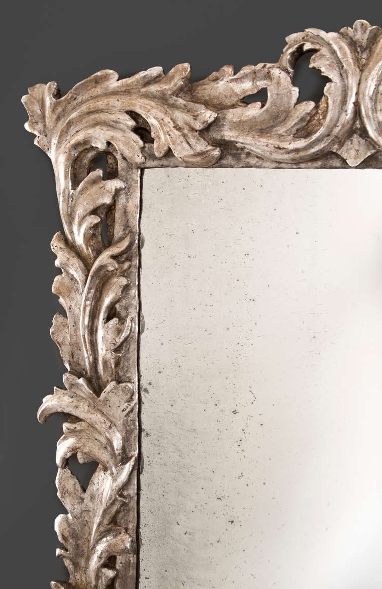 18th Century and Earlier An Italian Baroque Foliate Carved Silvered Wood Mirror
