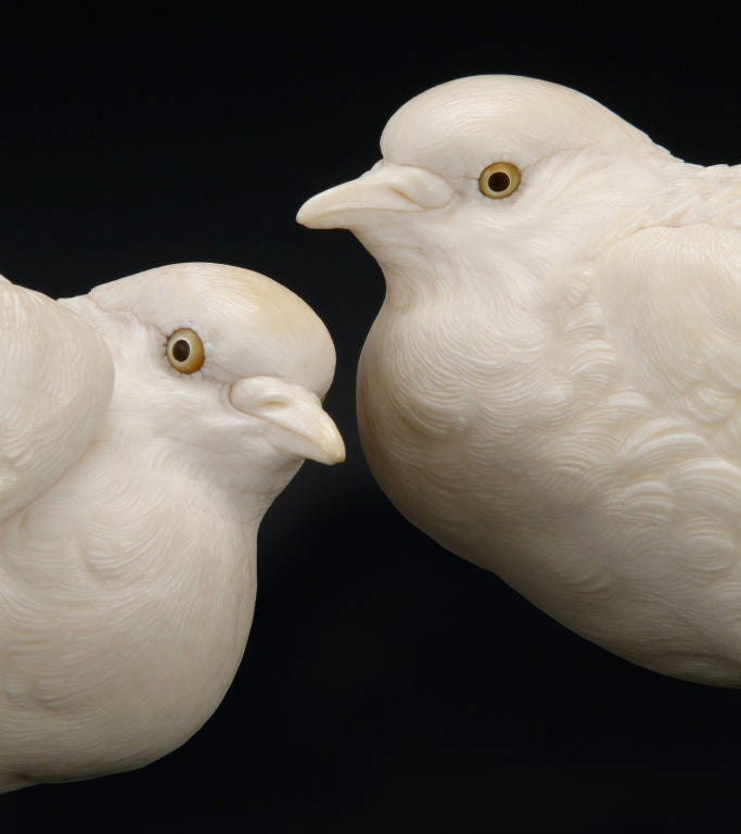19th Century A Near-Life Size Pair of Japanese Ivory Okimono Doves