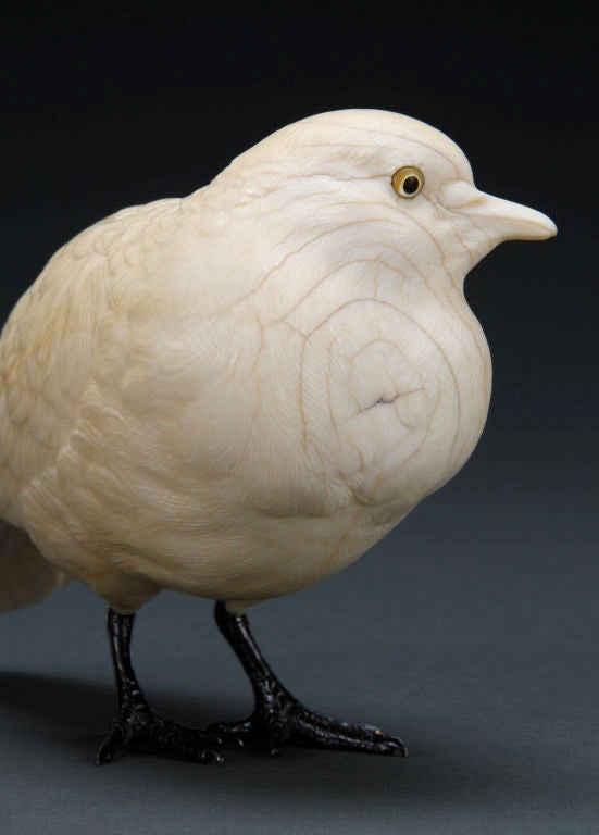 A Near-Life Size Pair of Japanese Ivory Okimono Doves 1