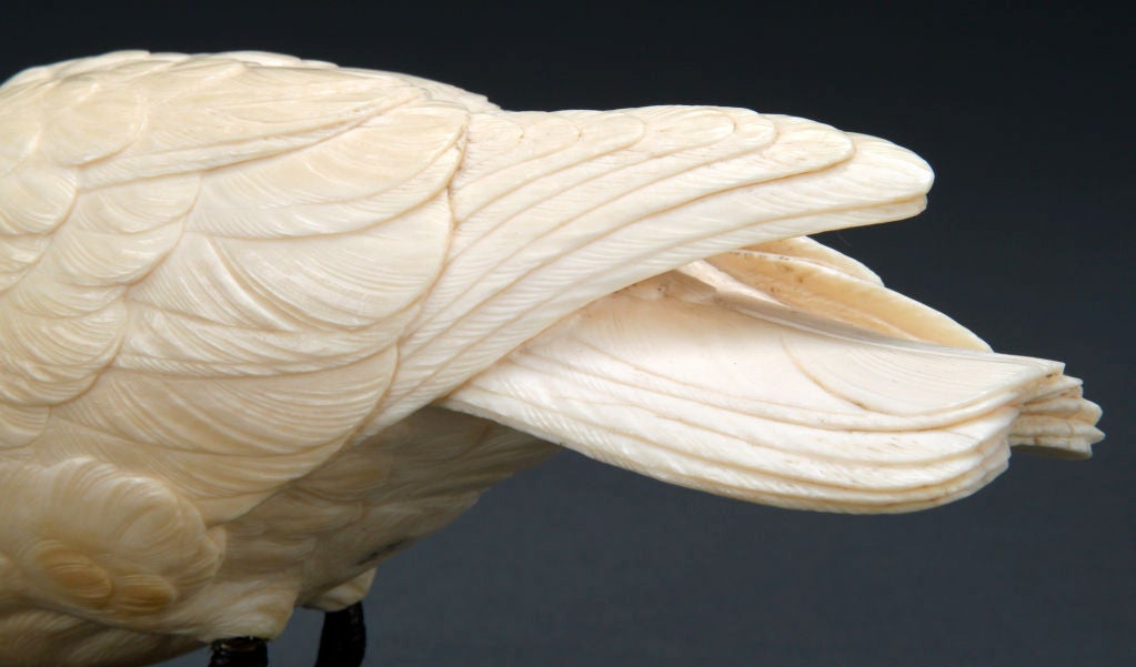 A Near-Life Size Pair of Japanese Ivory Okimono Doves 3