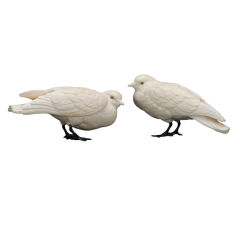 Antique A Near-Life Size Pair of Japanese Ivory Okimono Doves