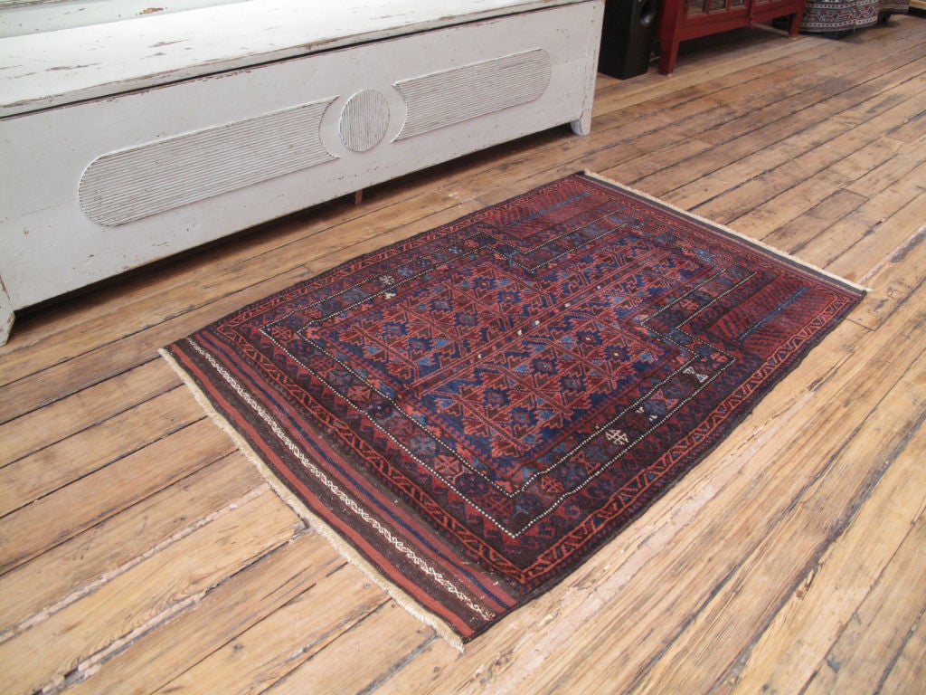 A great tribal prayer rug by Baluch tribes with the characteristic 