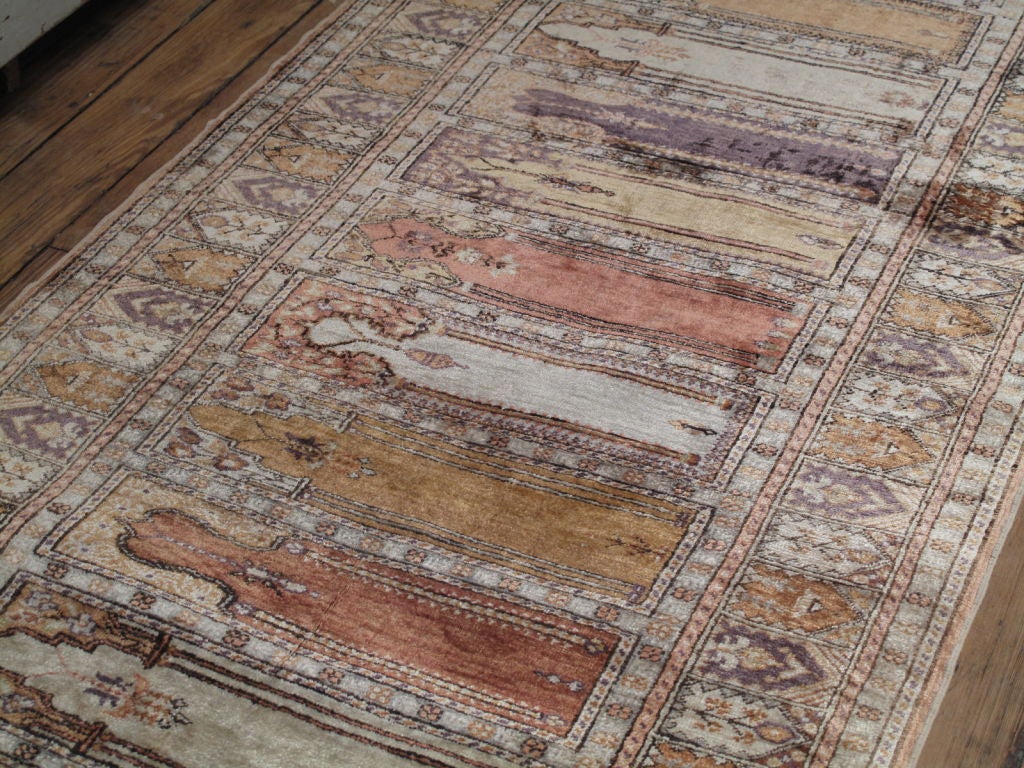 Cotton Kayseri 