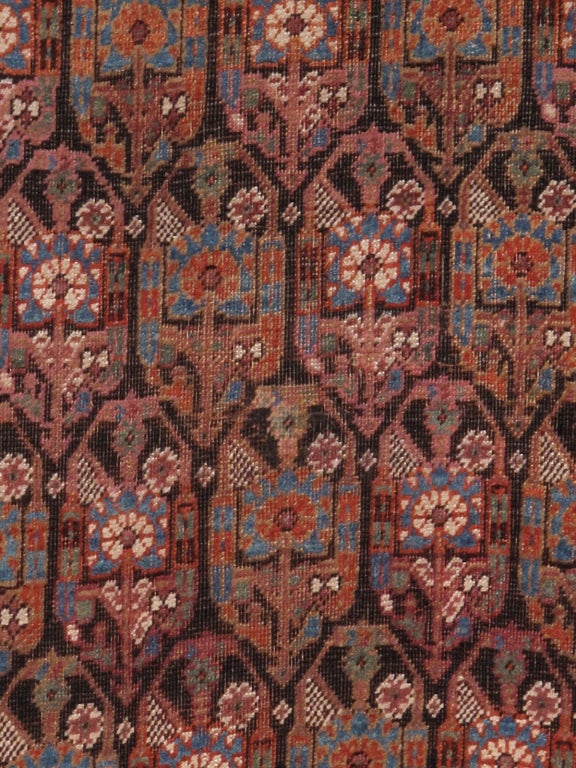 afshar rugs antique