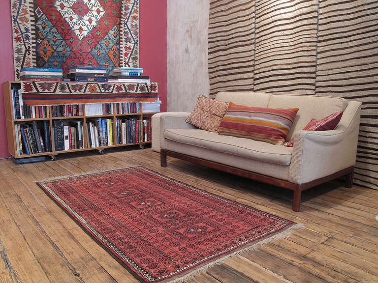 Antique Baluch Rug with Animal Border