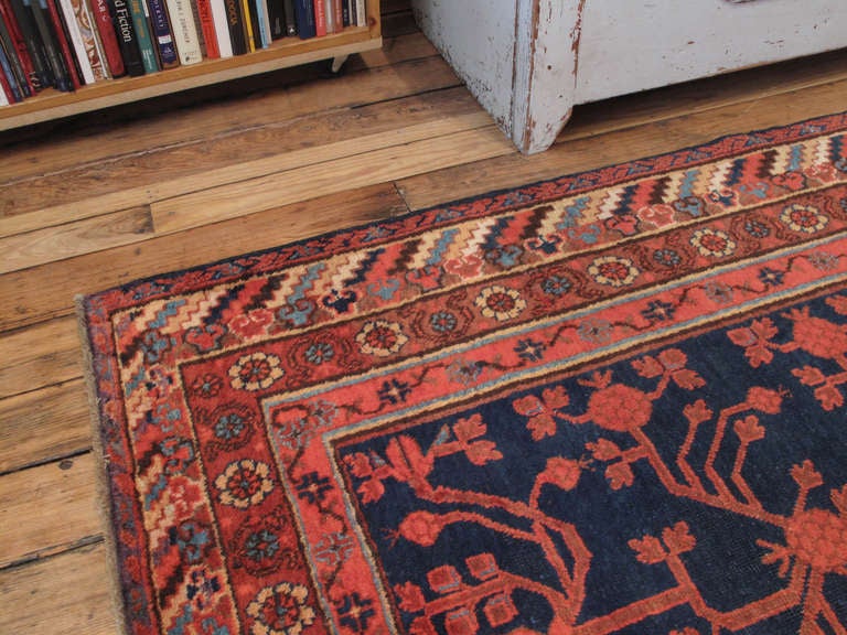 Khotan Carpet In Good Condition In New York, NY