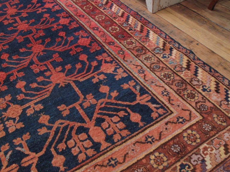 20th Century Khotan Carpet