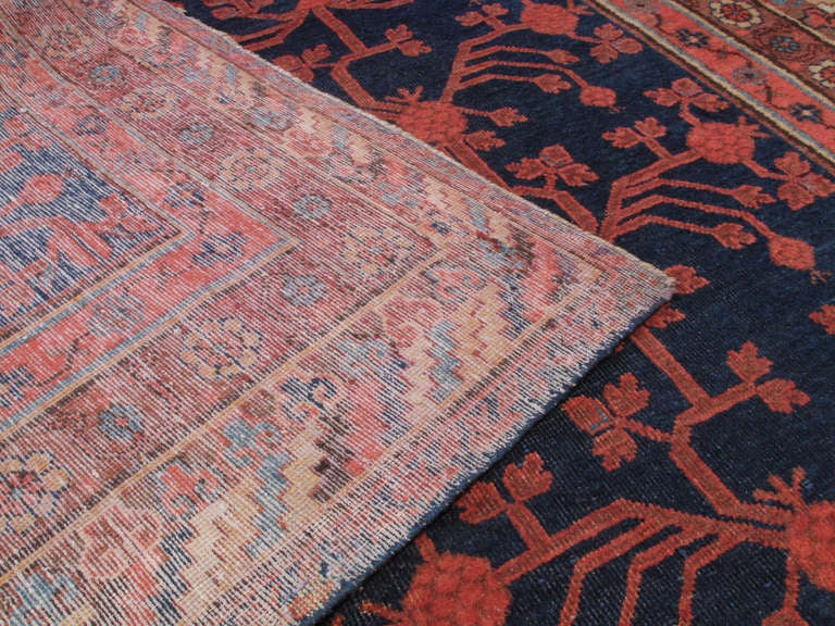 Cotton Khotan Carpet