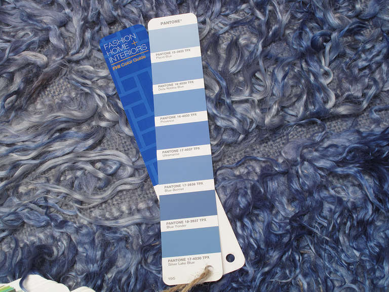 Blue Angora Tulu 1