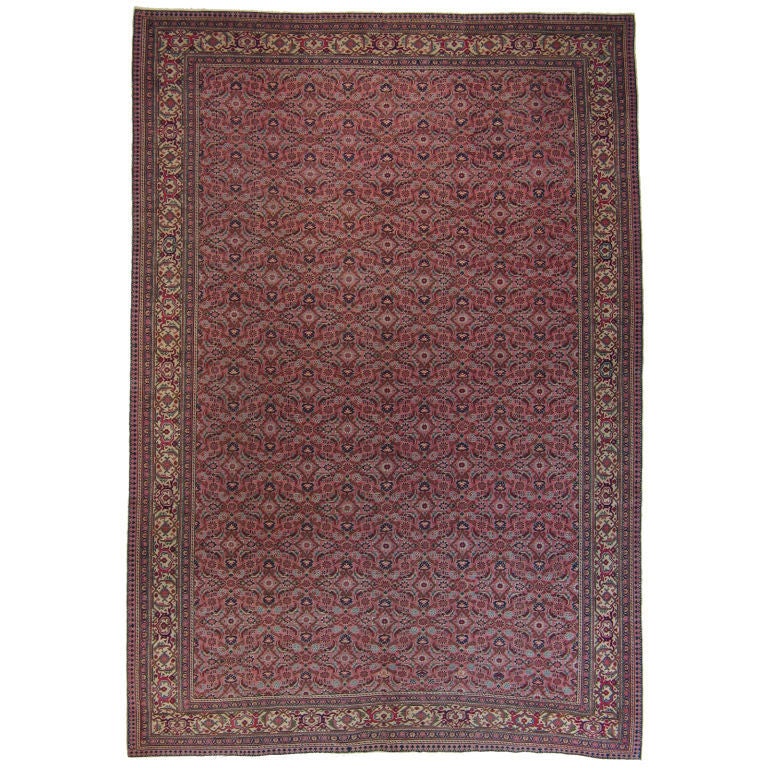 Pink Kayseri Carpet