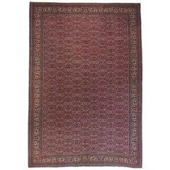 Pink Kayseri Carpet