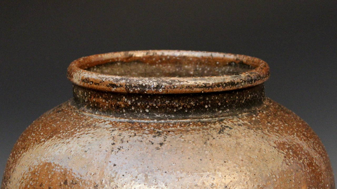 Antique Japanese Shigaraki Folk Art Pottery Mingei Storage Jar Vase and Cover 5