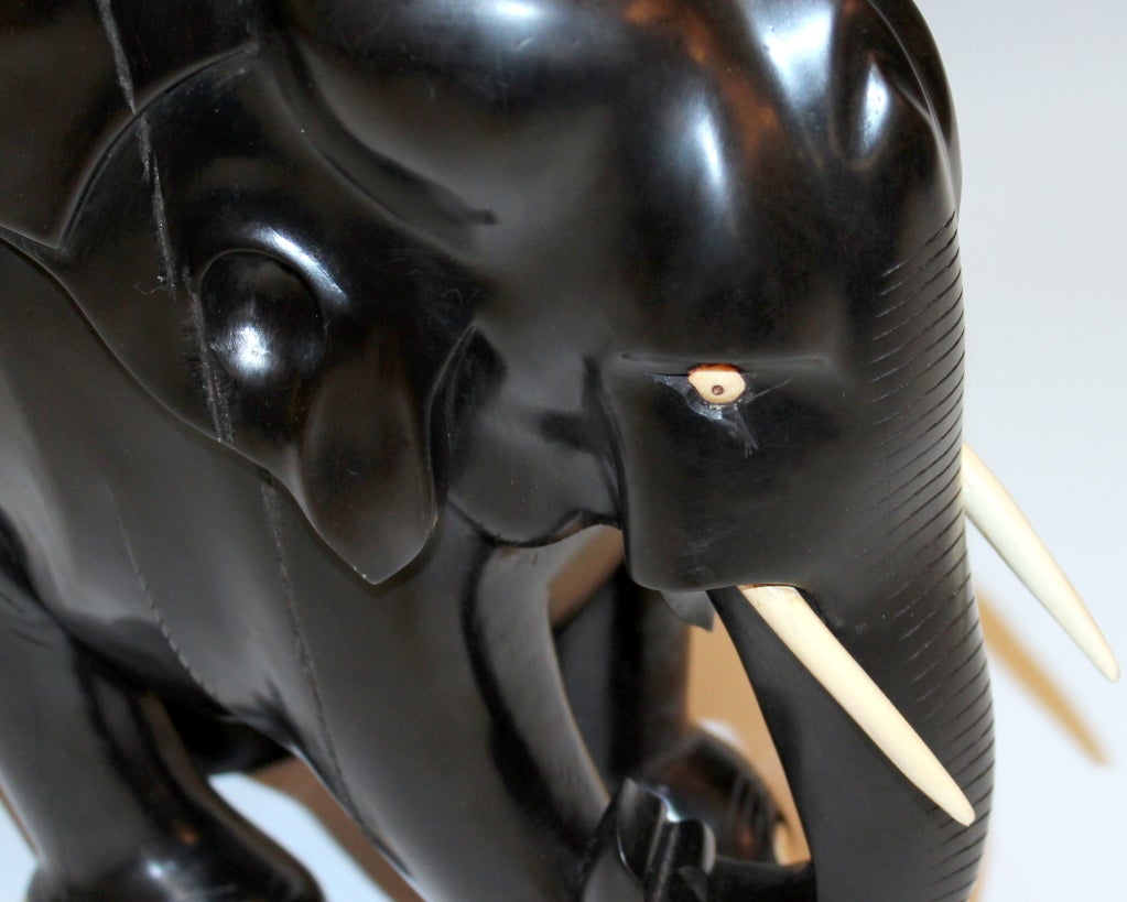 Grand Éléphant En Bois D'ébène Sculpté 5