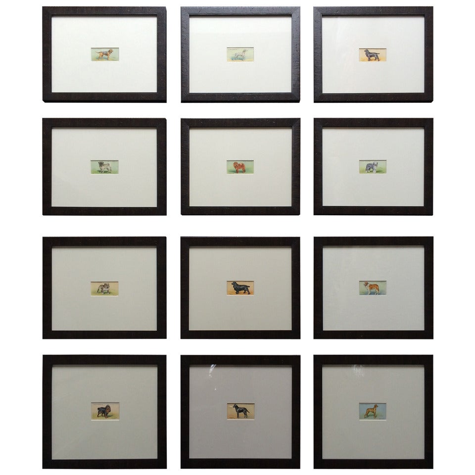 Framed Dog Stamps from "Wills
s Cigarettes"