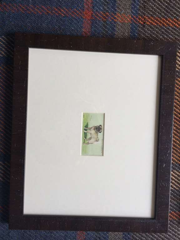 Framed Dog Stamps from 