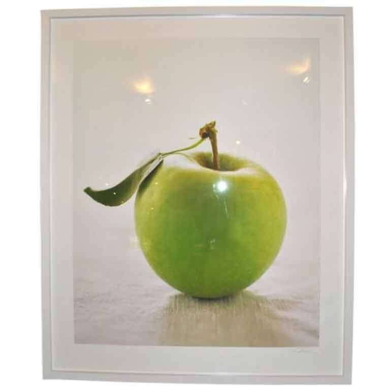 Still Life Photography For Sale