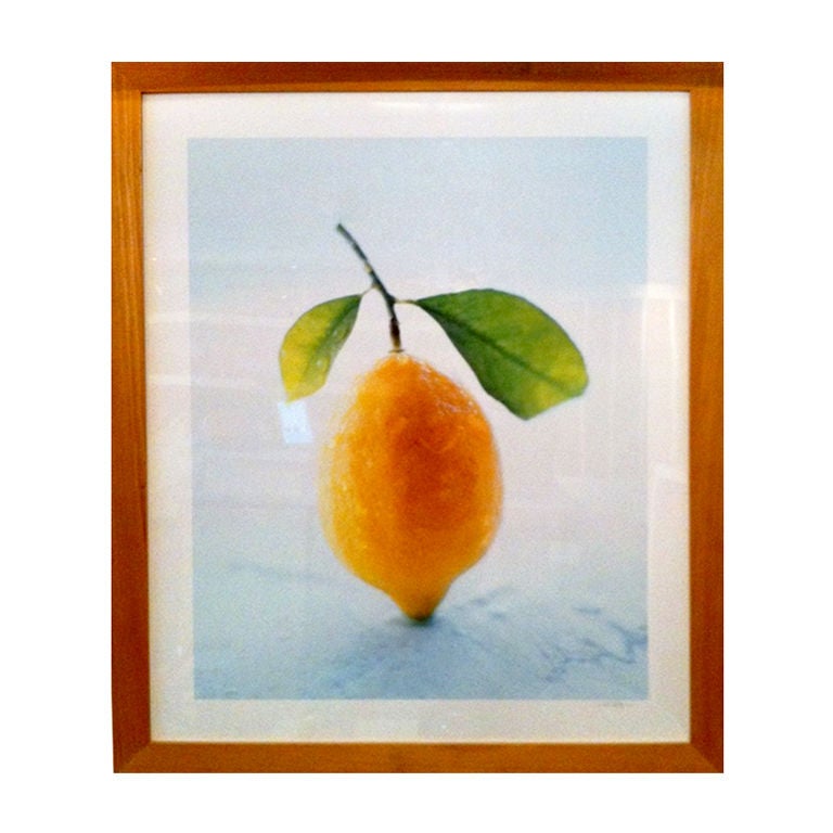 Still Life Photography by Victoria Pearson For Sale