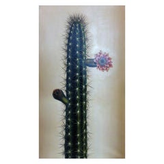 "Cactus with Red Flower" Nathan Turner for Dutch Touch