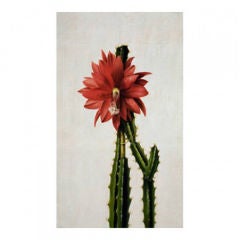 "Cactus with Red Flower No. 2" Nathan Turner for Dutch Touch