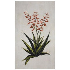 "Aloe Vera with Red Flower" Nathan Turner for Dutch Touch