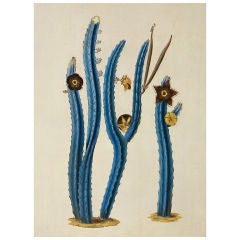"Stapelia Blue" Nathan Turner for Dutch Touch
