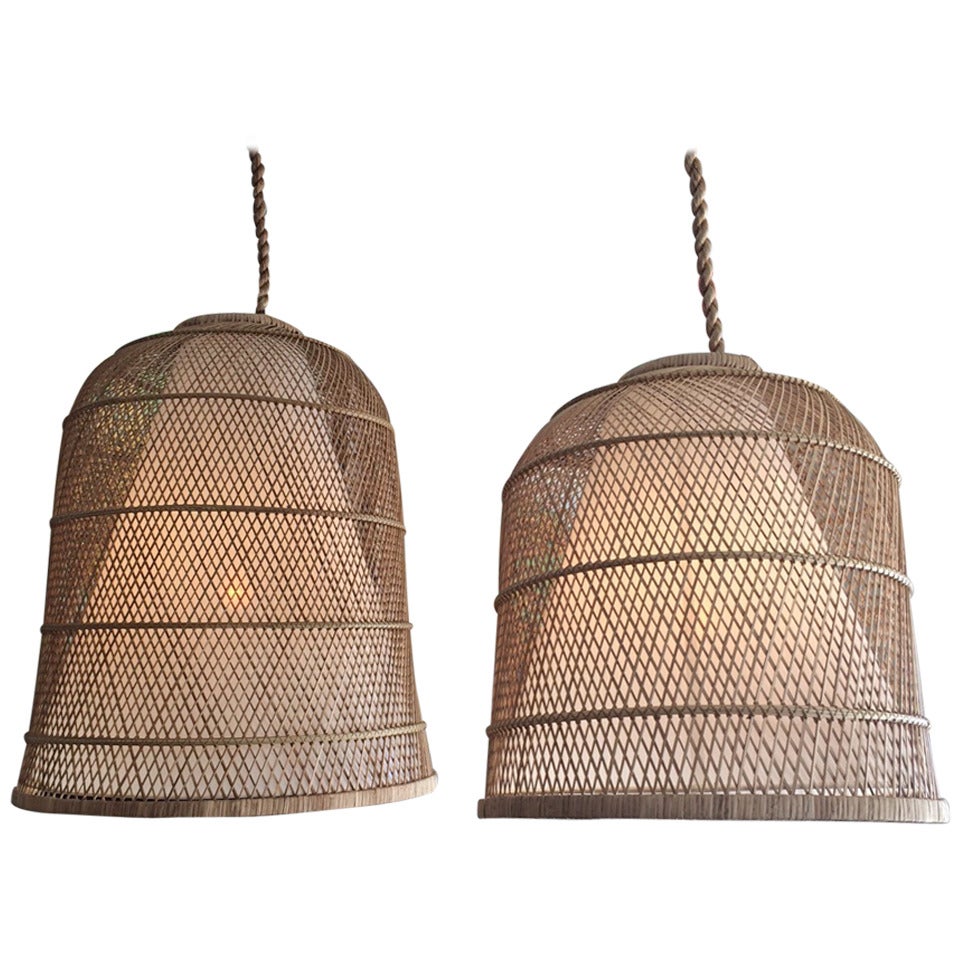Medium Hanging Basket Lamp