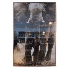 Elephant Photograph by Amber Arbucci 8