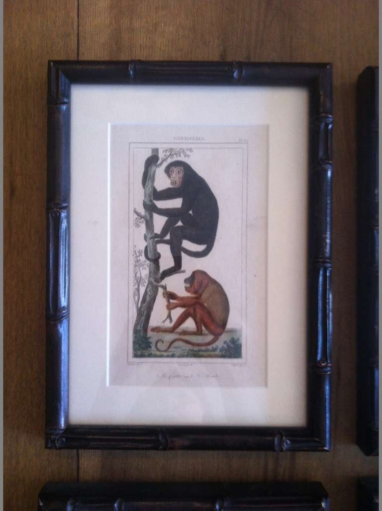 Monkey Prints. c1850 France.