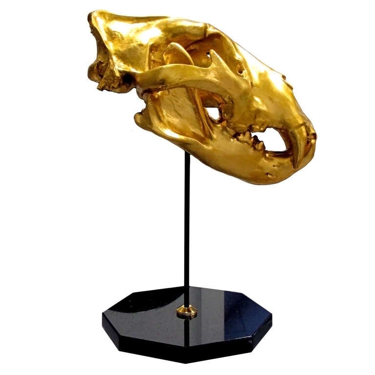 19th Century Alaskan grizzly bear skull with hand applied 18K gold leaf. Mounted on an octagonal polished black quartz base.

Michael Laut is a New York based artist and designer. Michael's work is a showcase for the dialogue between man-made