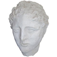 Monumental Plaster Head of a Man