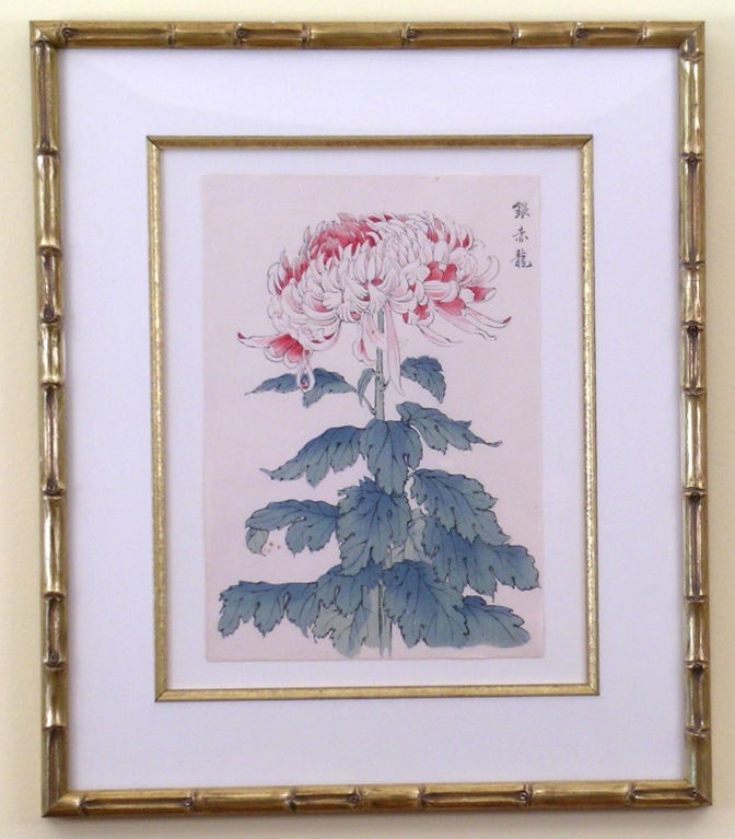 Japanese Botanica Asian Artl:  Pair of Chrysanthemums For Sale