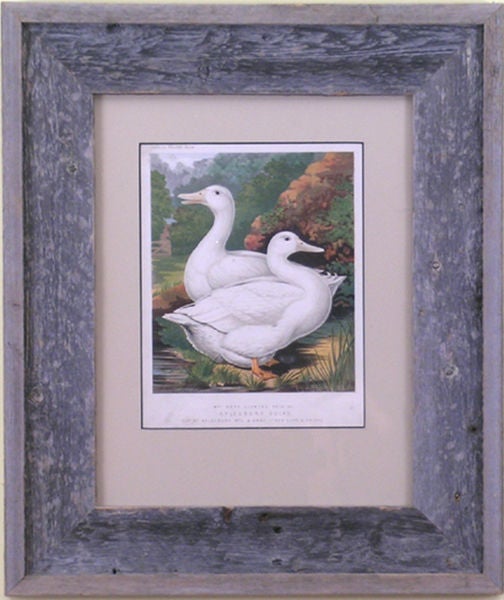 Set of 3 Poultry:  Turkey, Ducks, Geese