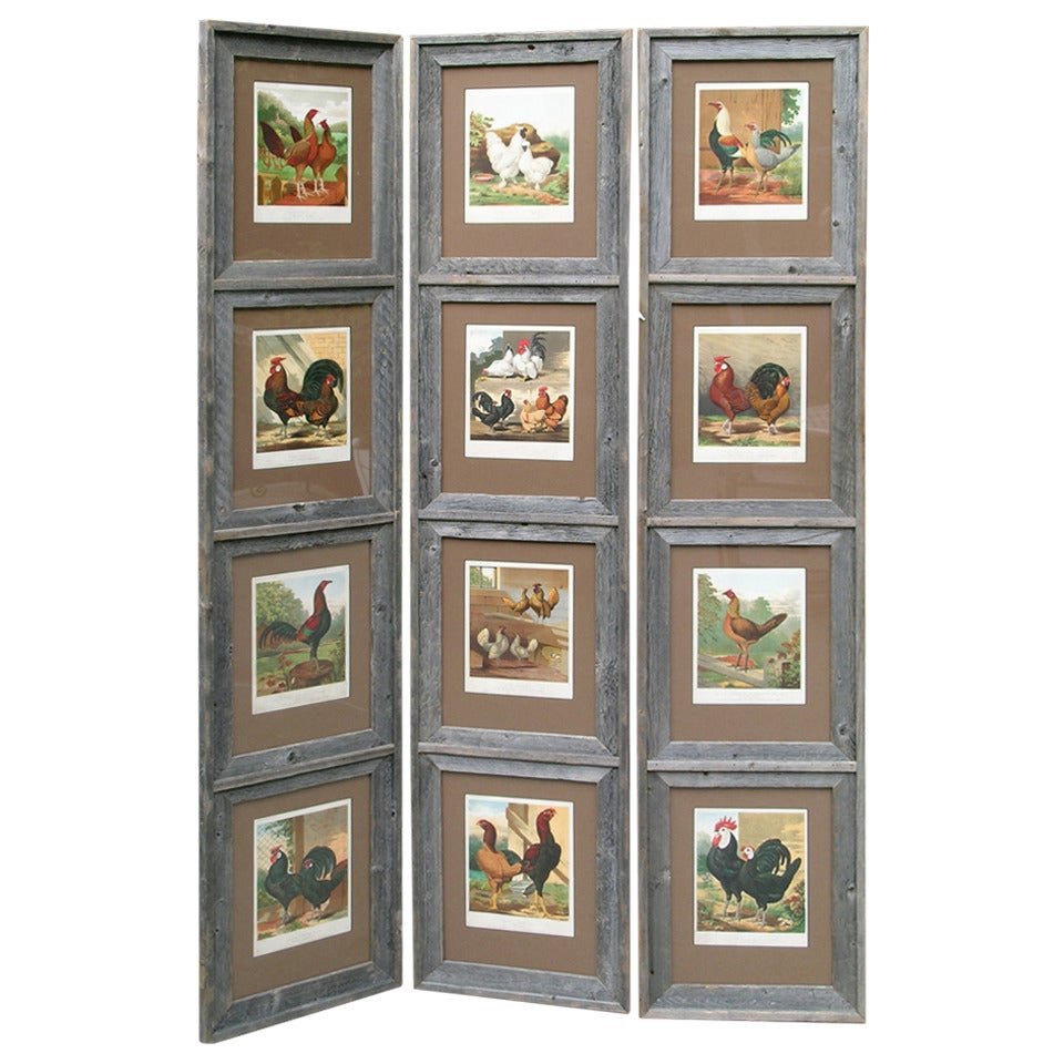 Animals:  Set of 12 Chicken Prints in Barnwood Screen For Sale