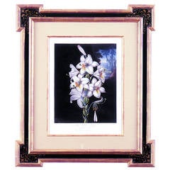 Botanical Thornton, "The White Lily"