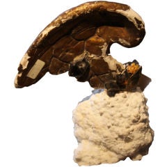 Italian Angel Wing Fragment