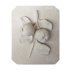 Vintage Plaster Fruit Relief
