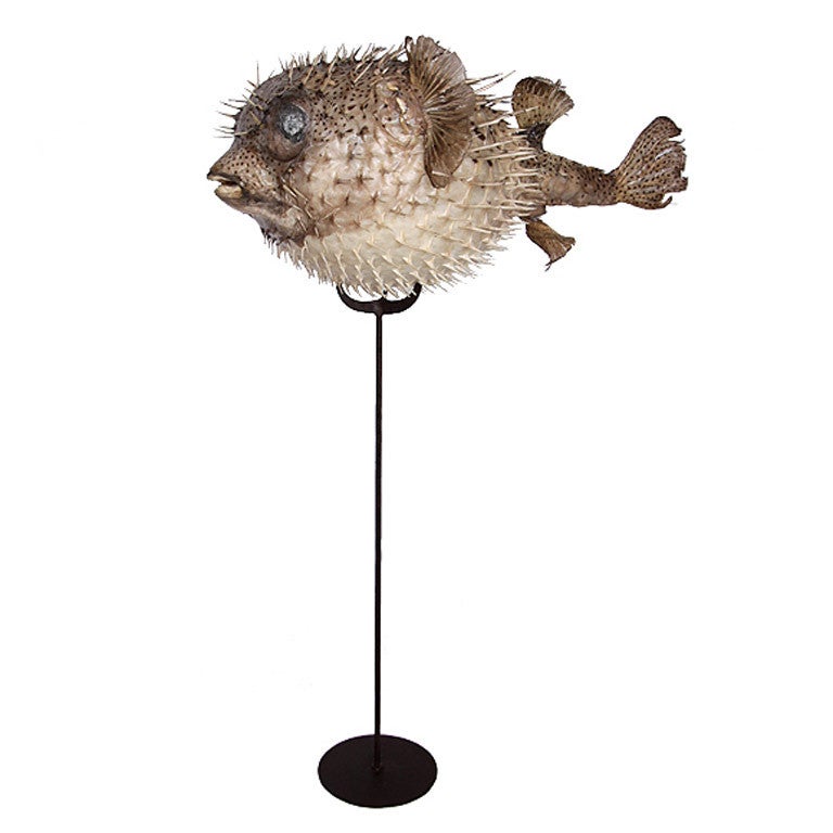 Puffer Fish on Stand