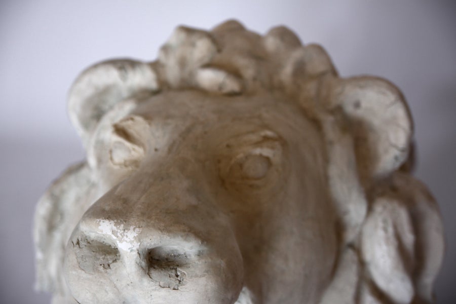 French Antique Plaster Lion Head For Sale