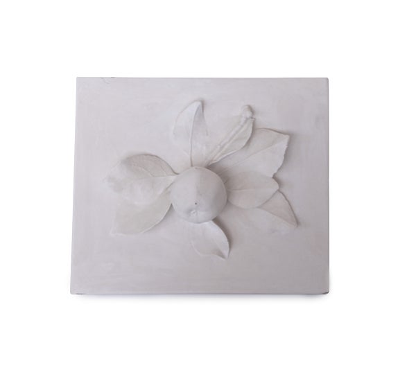 Antique Plaster Fruit Relief