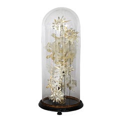 Sea Life Creations Displayed in Antique Glass Globe