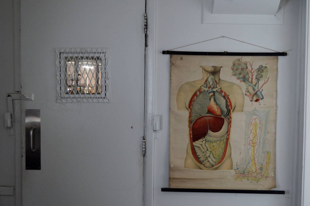 Début du 20ème siècle Tableau anatomique ancien Architecture de l'anatomie humaine par E. Hoelemann en vente