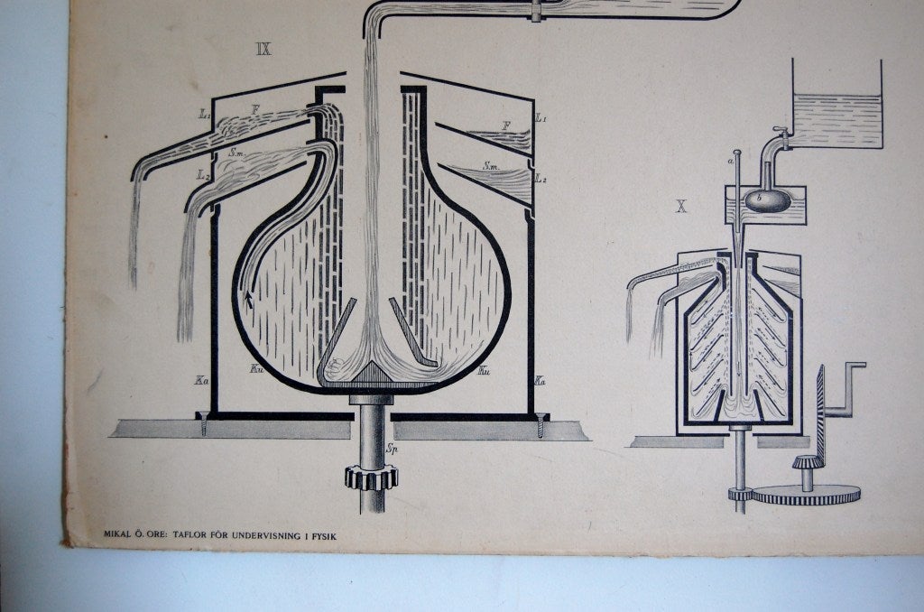 stentor diagram