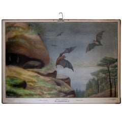 Vintage Swedish Fladdermus Bat Poster