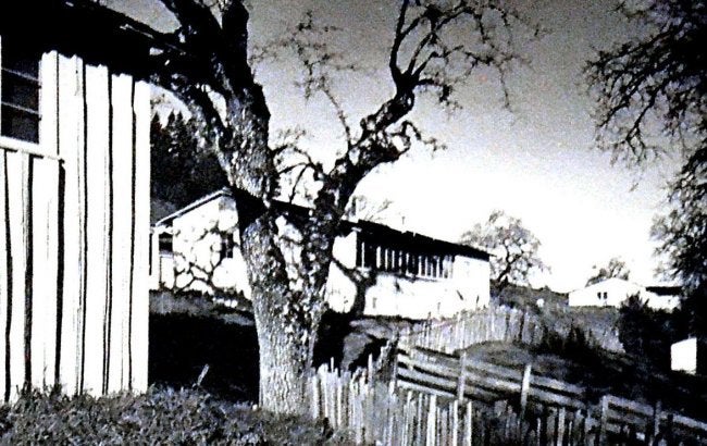 Ansel Adams Signed Photo