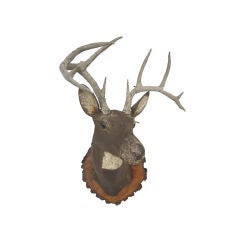 Papier Mache Deer Head