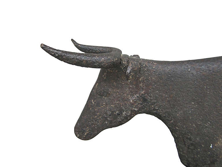 Circa 1900 unusual solid cast iron cow weathervane showing oversized horns and teats, more than likely used atop a barn cupola, all in untouched surface, contemporary table stand included (not shown).