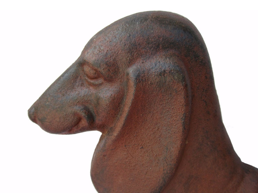 Dachshund Garden Dog