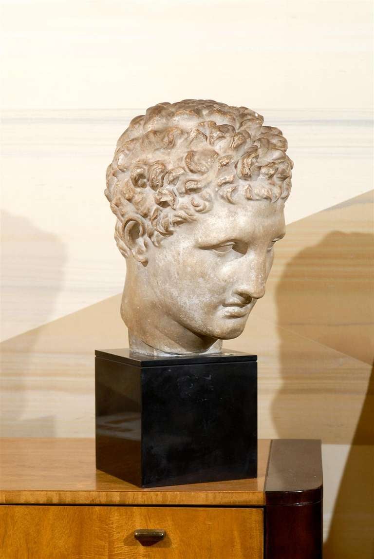 19th Century Classical Roman Bust in Plaster on Black Stone Base 2