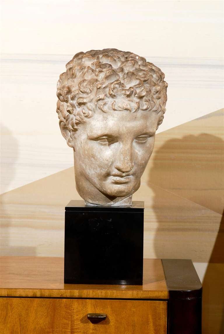 Neoclassical 19th Century Classical Roman Bust in Plaster on Black Stone Base