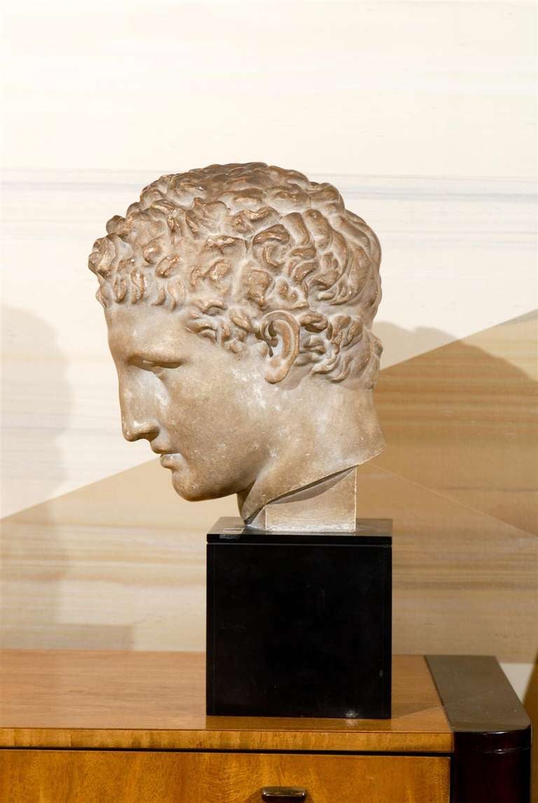 19th Century Classical Roman Bust in Plaster on Black Stone Base 3
